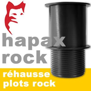 Plots de fondation en Hapax