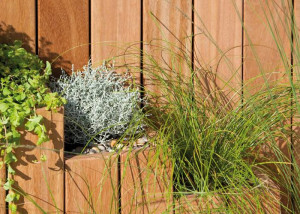 Lames de terrasse en exotique à visser en Tali, Elondo