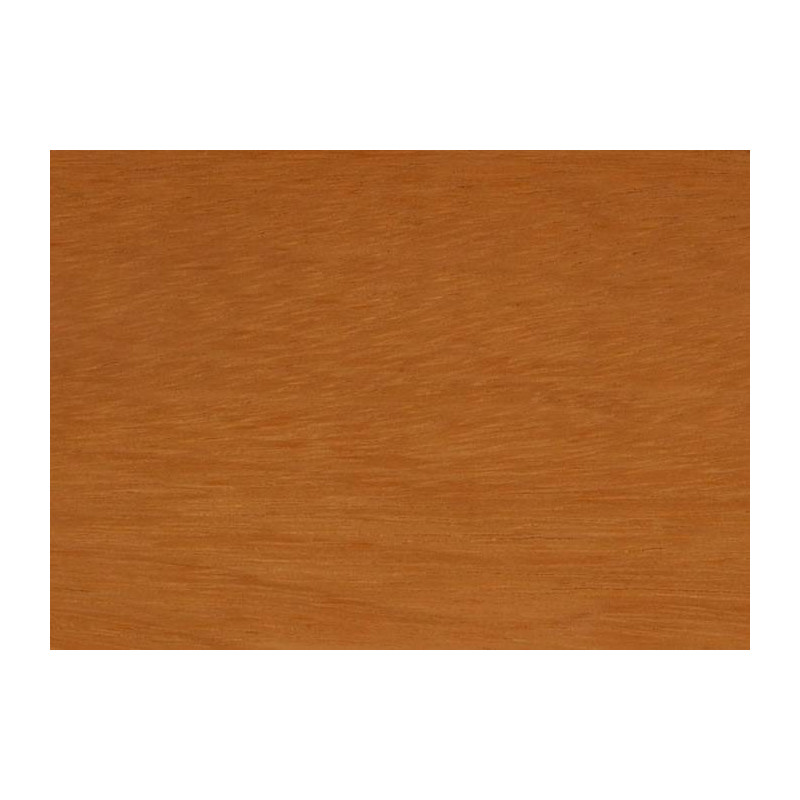Parquet Parquet massif Tatajuba - 10 x 70 mm - Verni - PROMO