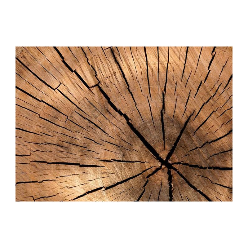 Parquet Parquet massif Châtaignier B - 23 x 70 mm - brut
