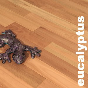 Parquet massif brut en Eucalyptus