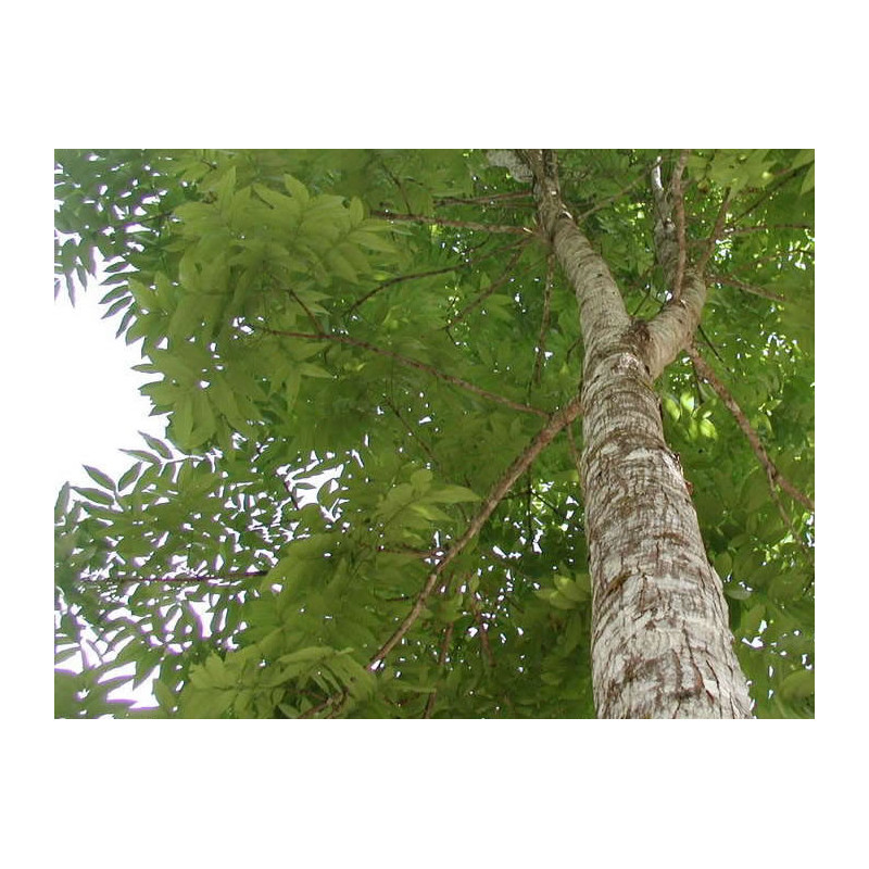  -   - [product_default_category]
