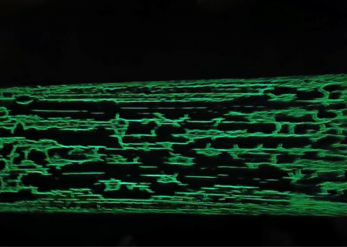 Panneau Sapin - 21 x 1250 x 2500 mm - Luminescent