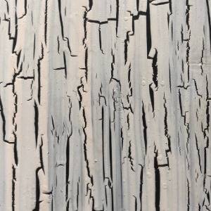 Panneau Sapin - 21 x 1250 x 2500 mm - Blanc