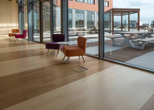 Panneau massif Bambou - 30 x 1220 x 2440 mm - caramel - vertical - colis de 2,98m2