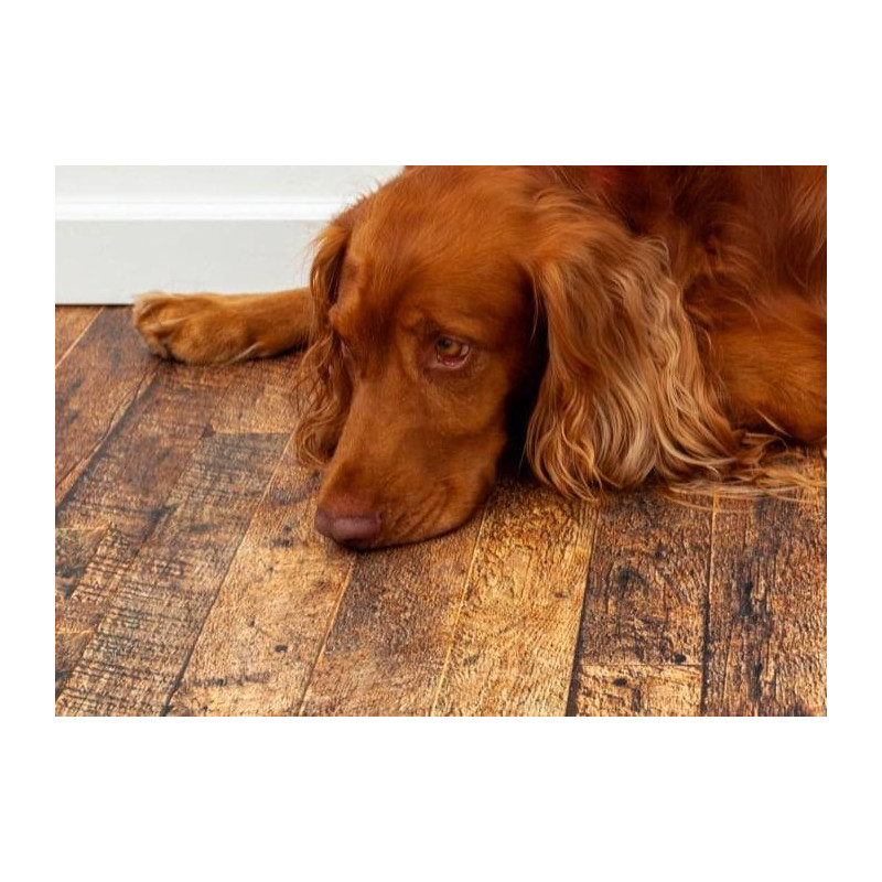 Parquet Panneau OSB - 15 x 590 x 2440 mm - HICKORY WOODCHIPP