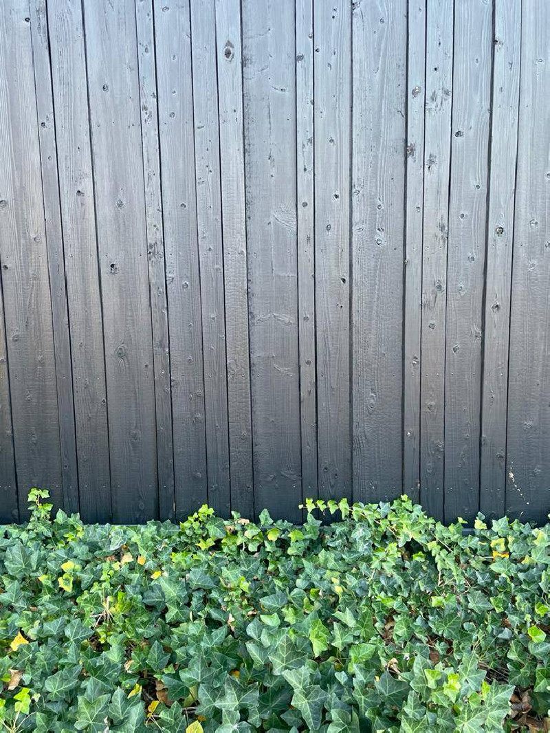 Découvrez le bois noir de notre nouvelle collection, alliant élégance et robustesse pour tous vos projets de décoration extérieu