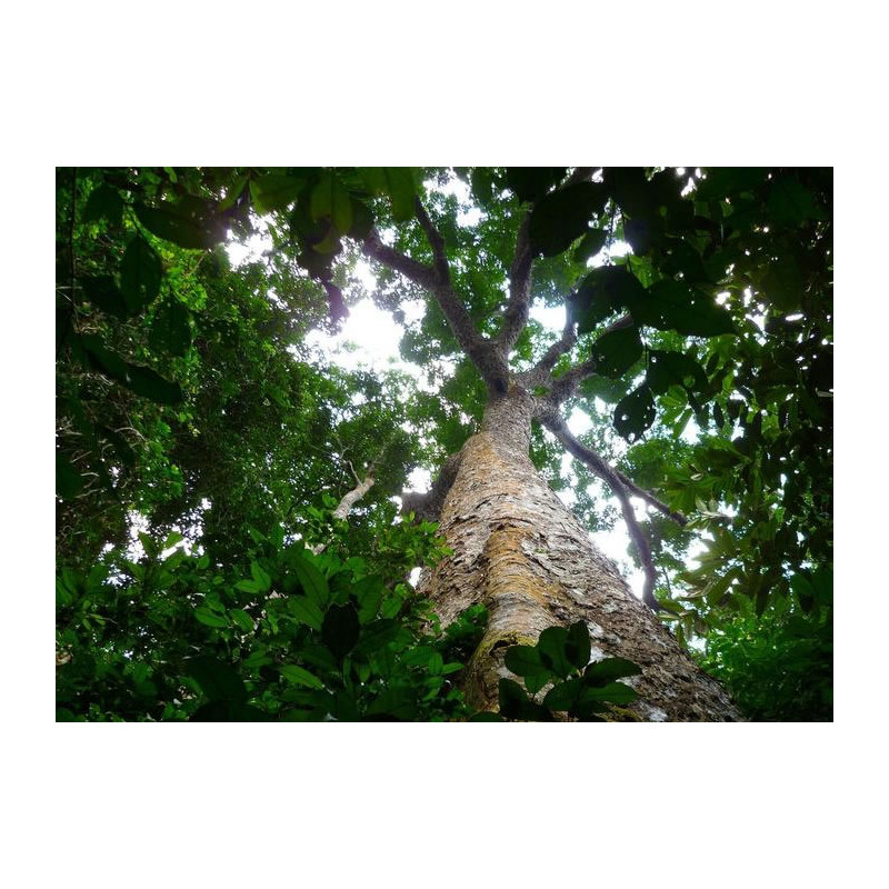  -   - [product_default_category]
