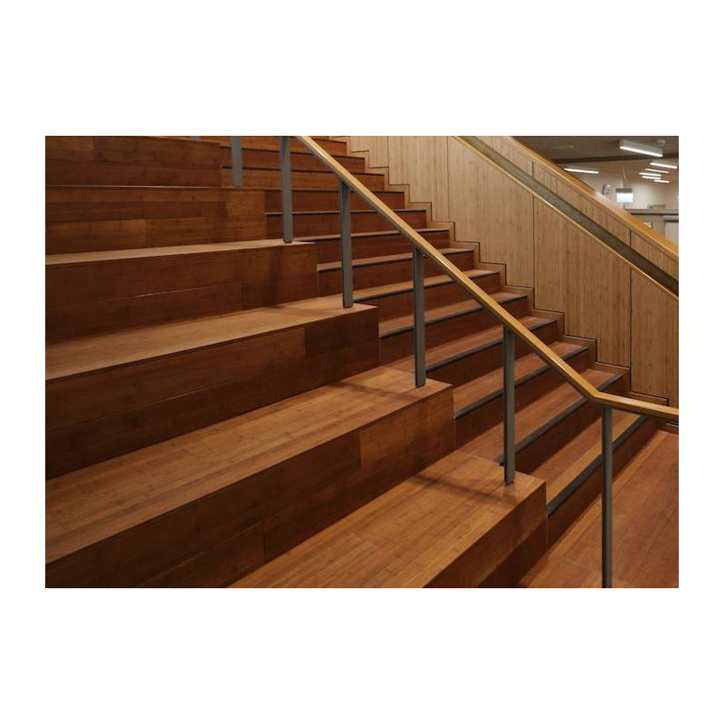 Parquet Parquet massif Bambou Ultradensity Moso - 20 x 160 x 1900 mm - brut - caramel - density