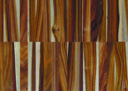 Parquet industriel Tarara Amarilla ECO - 14 x 22 x 250 mm - motif sur chants