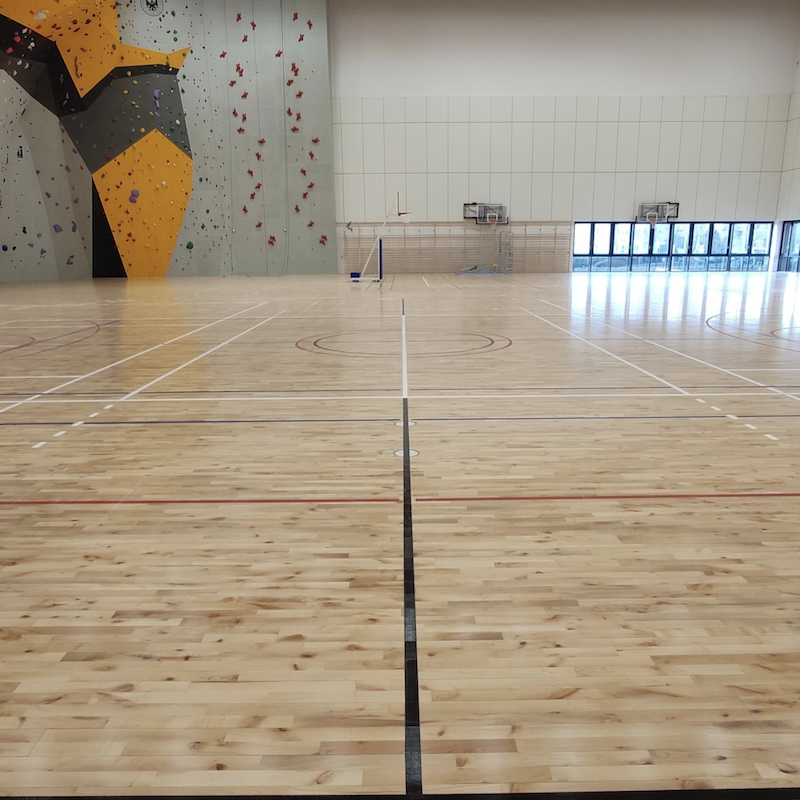 Parquet Parquet massif Hêtre - 22 x 129 mm - verni - plancher sportif - 62 mm