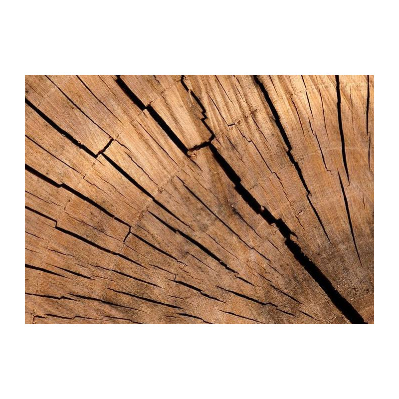 Parquet massif planchette Châtaignier - 10 x 60 x 300 mm - brut