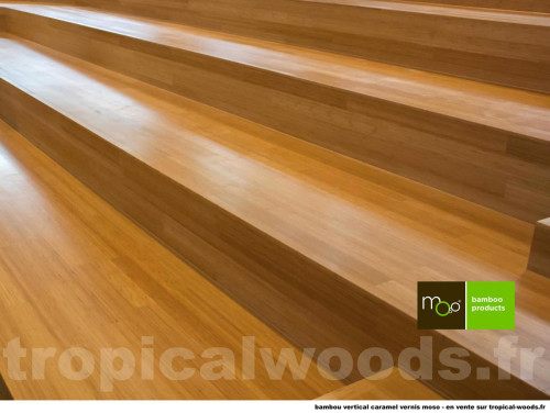 Parquet Bambou Moso - 10 x 200 x 300 mm - density - naturel