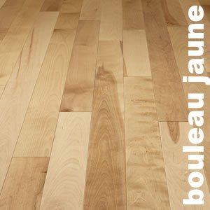 Parquet massif Bouleau Premier/Rustique - 23 x 110 mm - brut - PROMO