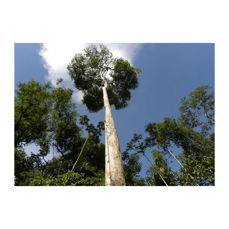  -   - [product_default_category]