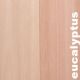 Contrecollé Eucalyptus Crème - 12 x 215 x 2200 mm - verni