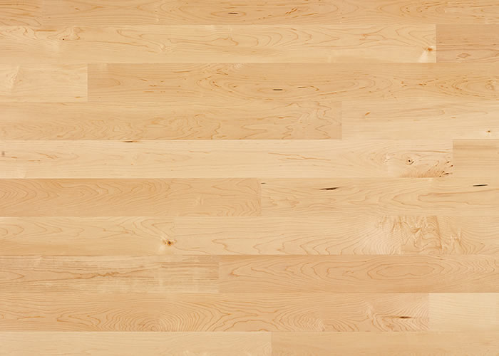 Parquet contrecollé Erable - 13 x 140 mm - huilé ou verni