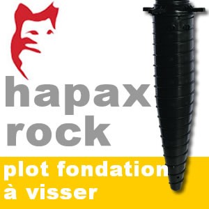Plots de fondation en Hapax