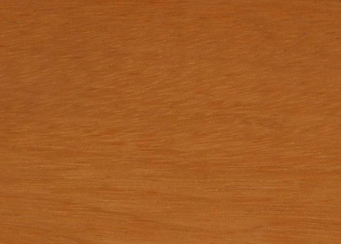 Parquet massif Tatajuba - 10 x 70 mm - Verni - PROMO