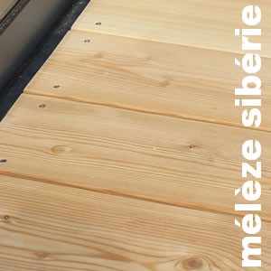 Lames de terrasse Mélèze Sibérie - 20 x 143 mm - premier choix