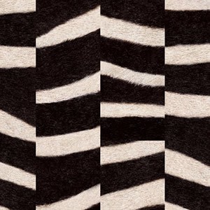 Lames Vinyl créatif Zebra - Vinyl S XL 5G - Zebra - 5,5 x 225 x 1520 mm