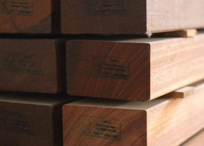 Lambourdes exotique - 25 x 55 mm