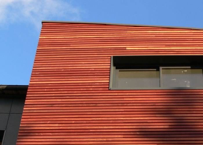Bardage en Padouk - 15 x 145 mm - brut - grain d'orge - COURT