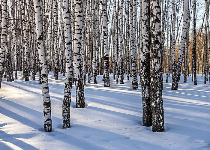  -   - [product_default_category]