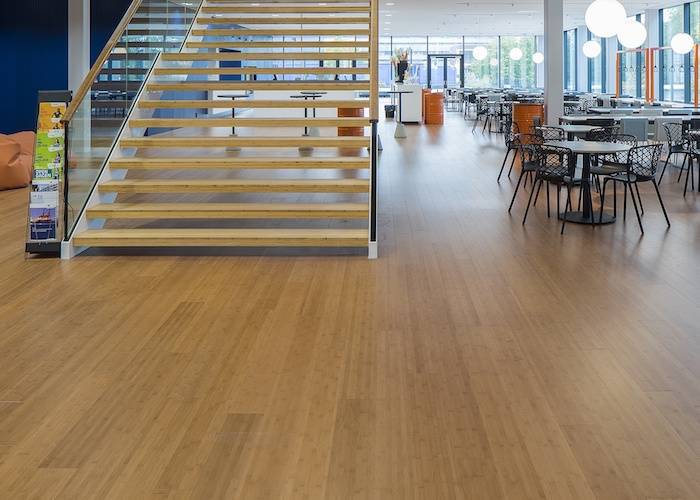 Parquet contrecollé Bambou BambooElite Moso - 15 x 159 x 1960 mm - verni - caramel - horizontal