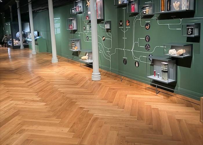 Parquet contrecollé Chêne Rustique Bâton Rompu - 11 x 90 x 600 mm - verni