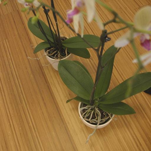 Parquet contrecollé Bambou Topbamboo Moso - 10 x 128 mm - brossé - verni - caramel - clipsable