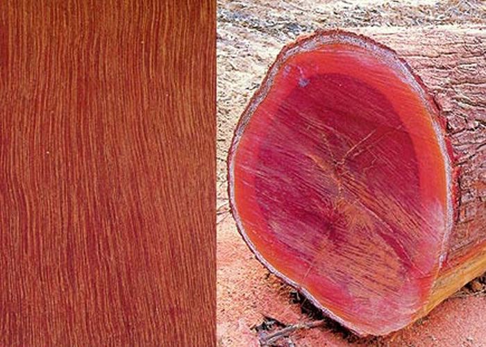 Parquet massif Massaranduba - 20 x 120 mm - brut