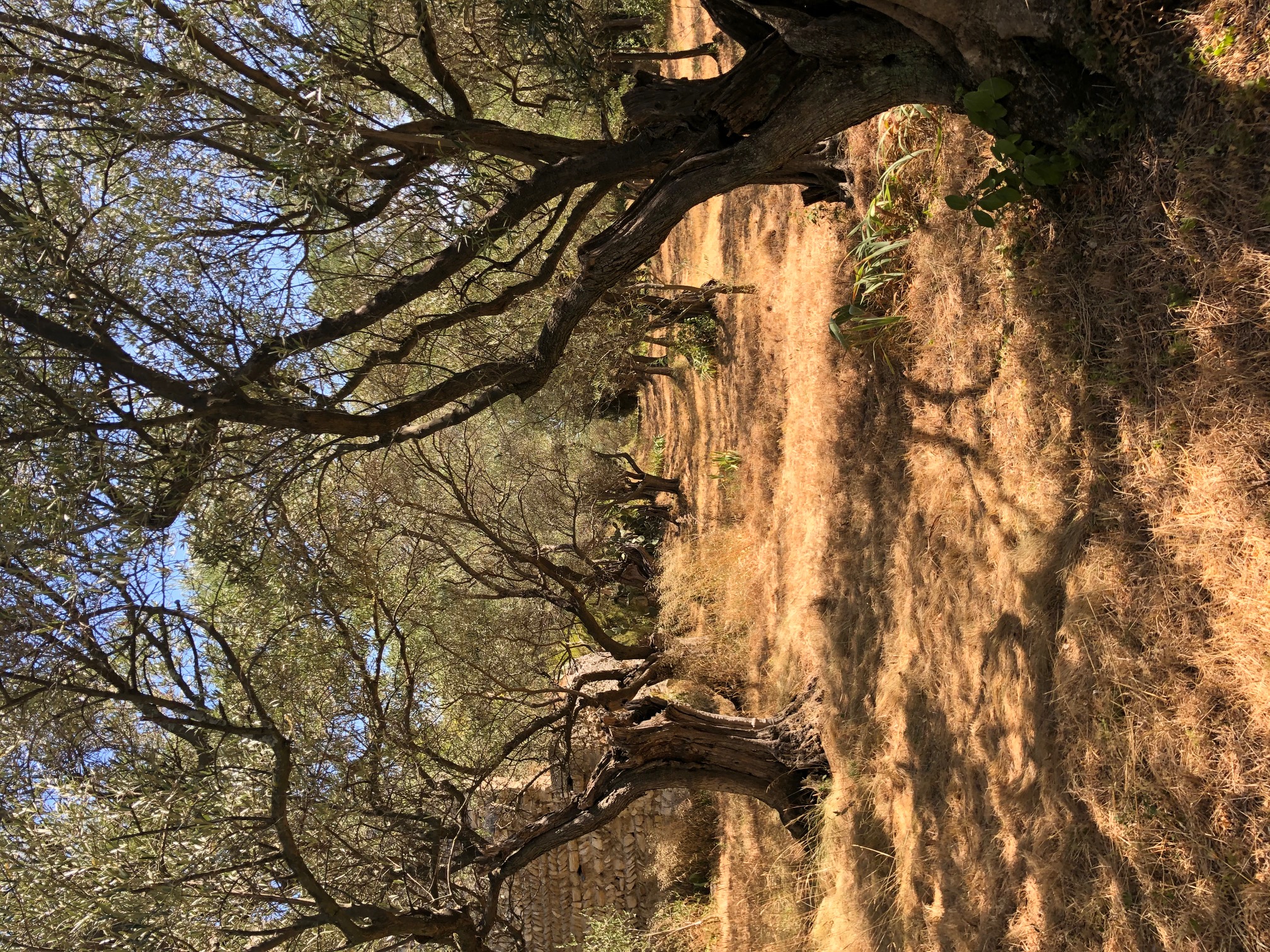 alpilles uzès parquets