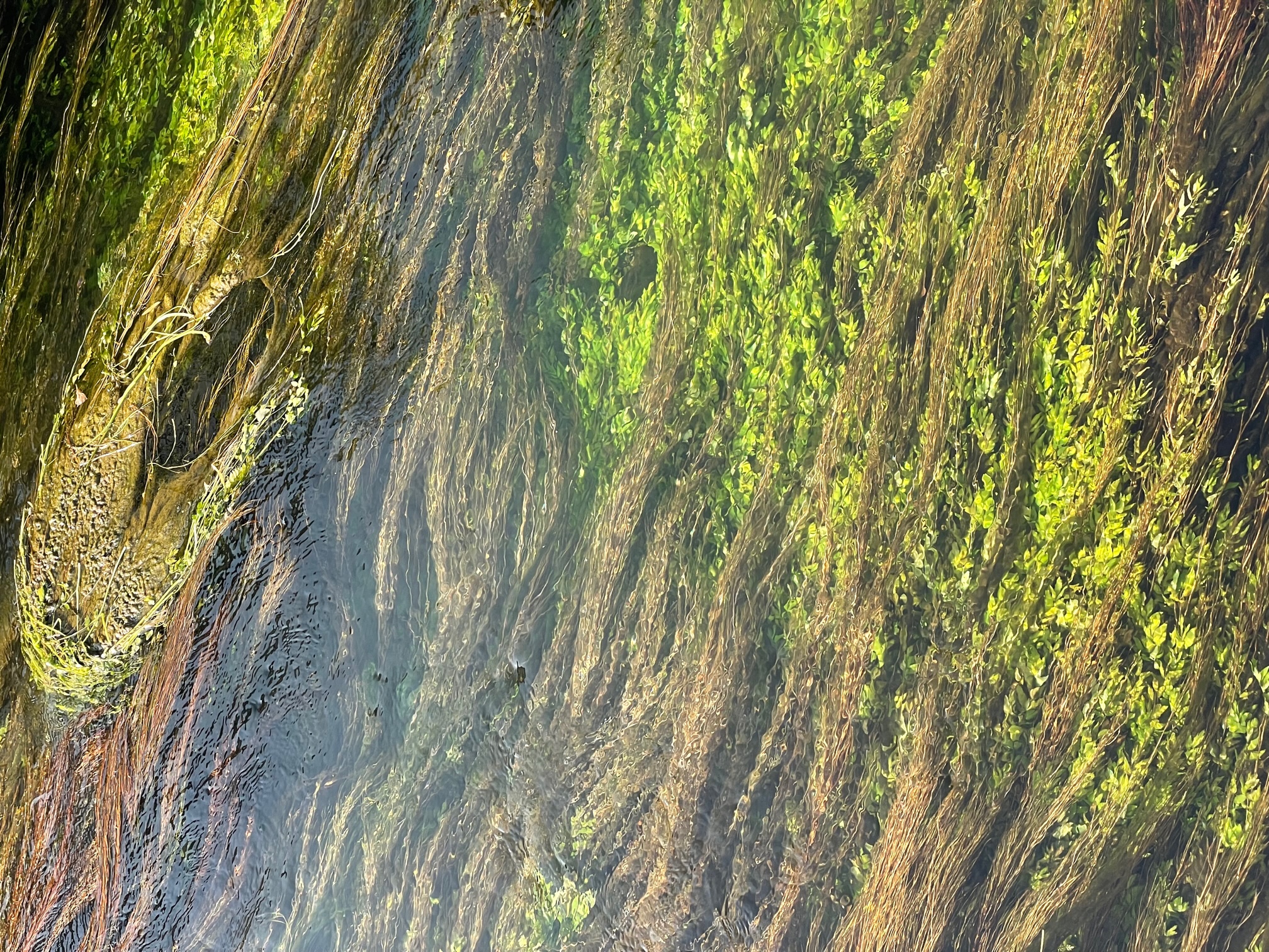 parquet terrasse luberon triangle d'or