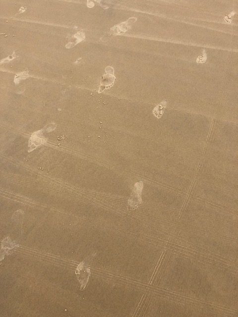 arcachon parquet achat