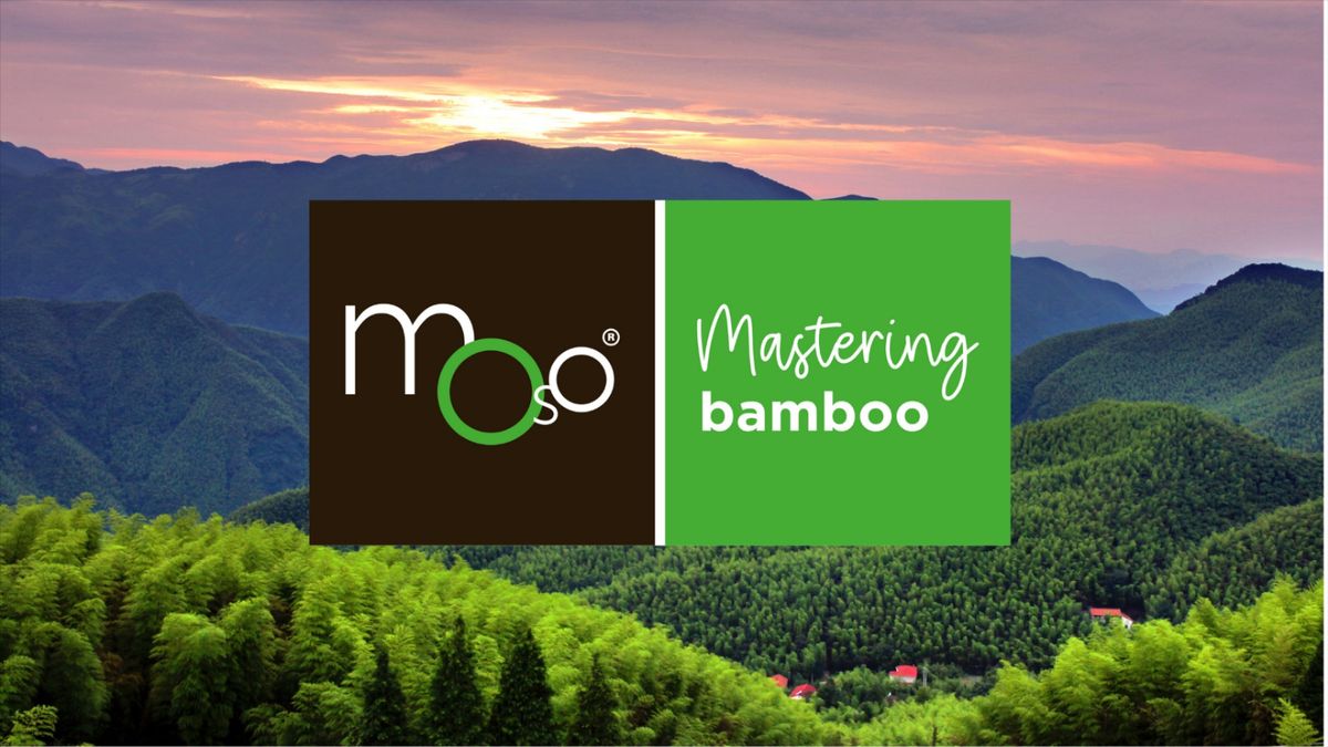 distributeur revendeur des parquets en bambou Moso