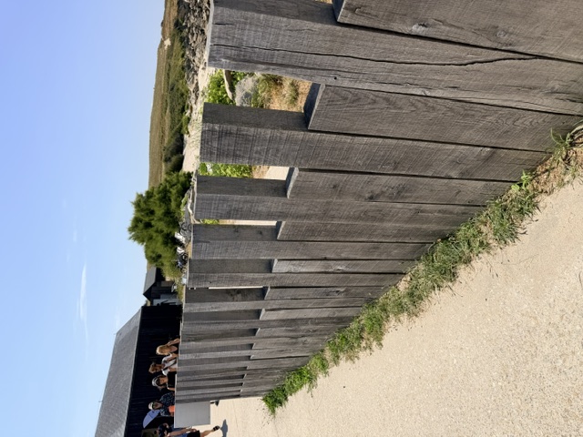 chemin cotier Hoedic