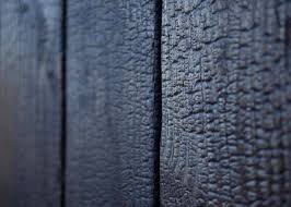 bardage bois brule shou sugi ban tendance moderne