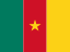 Drapeau du Cameroun