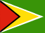 Drapeau du Guyana