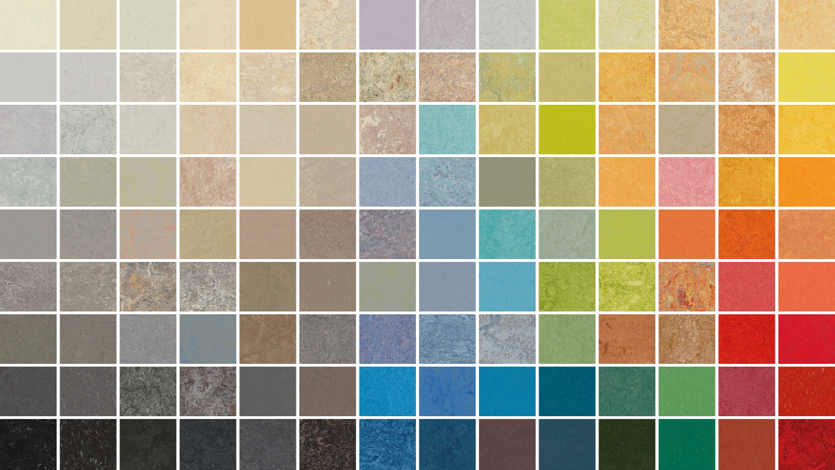 Sol Marmoleum Forbo, linoléum naturel – Floorz La Grande Parqueterie