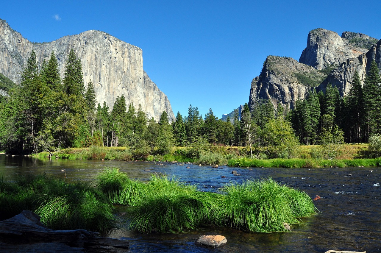 forêt de conifères au pied d’El Capitan dans la vallée de Yosemite, Californie, parmi les bois du monde