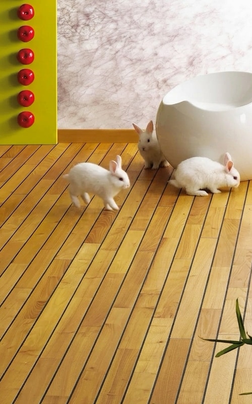 Parquet pont de bateau pour salle de bain Floorz, région de Strasbourg