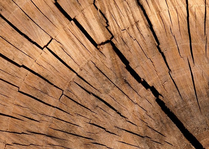 Bois en cours de séchage naturel AD, stockage extérieur