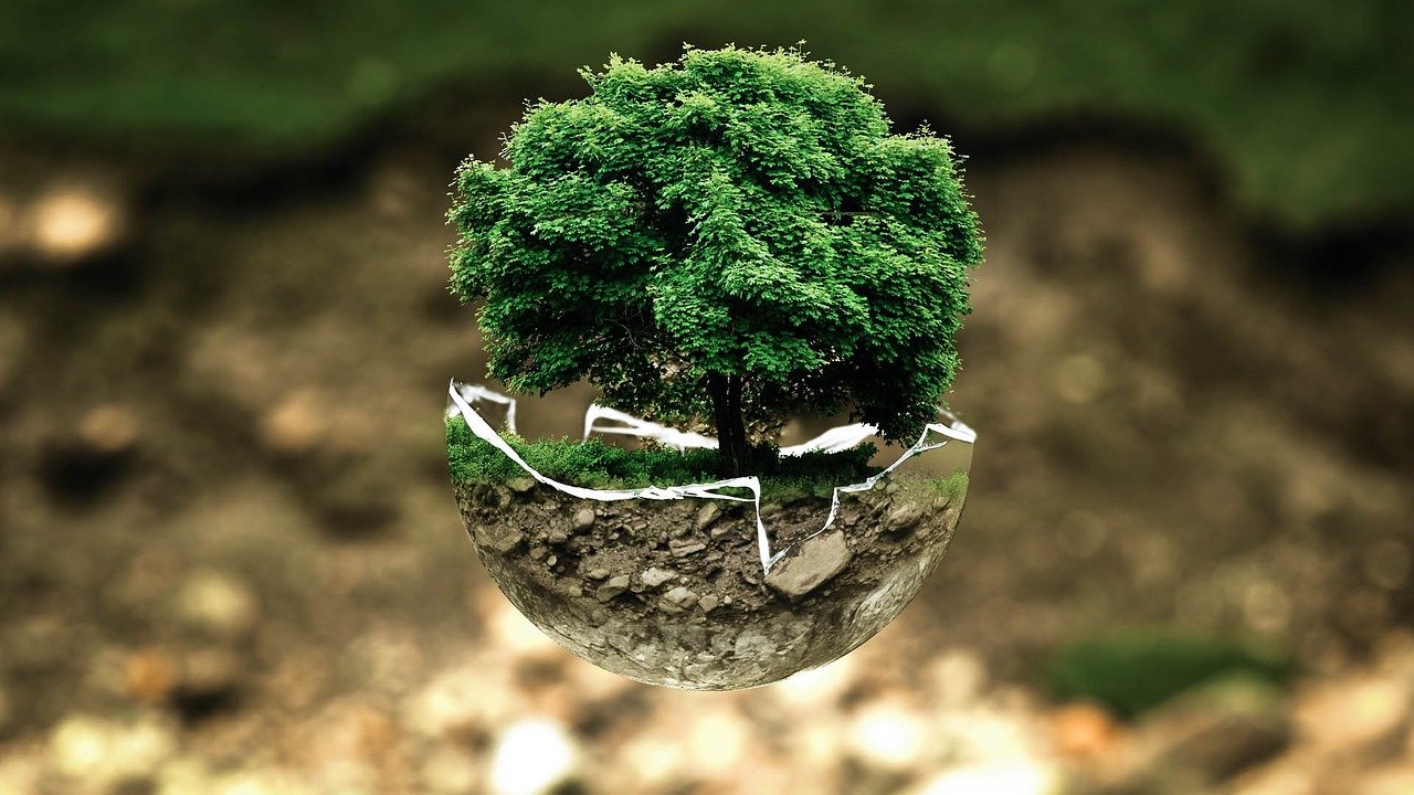 parquets label ecologie