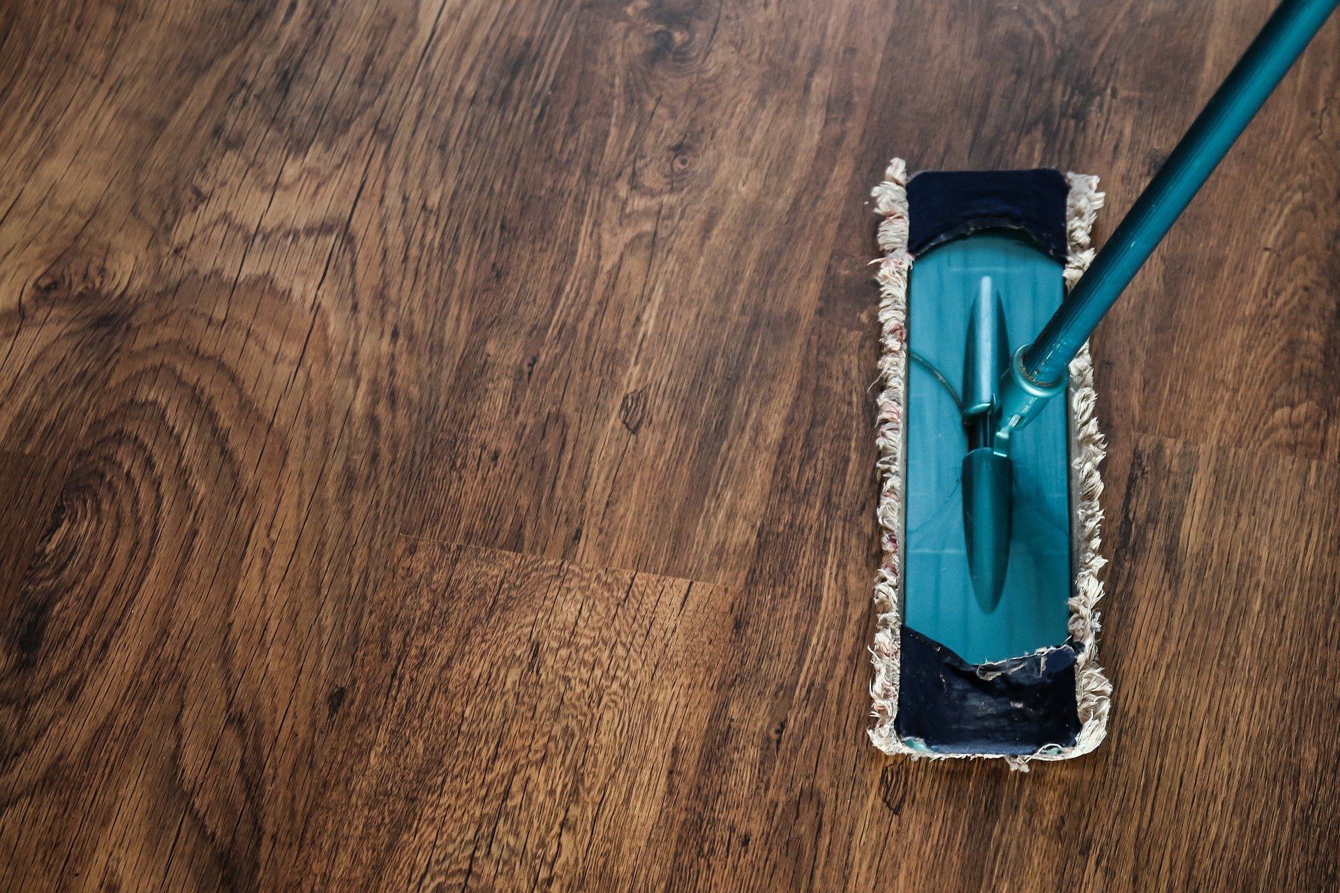 Entretien parquet massif — salon lumineux — nettoyage en profondeur