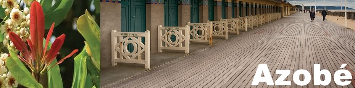 Lames de terrasse en azobé (Lophira alata) — classe 4, Monnin 10,7, épaisseur minimale 40 mm obligatoire