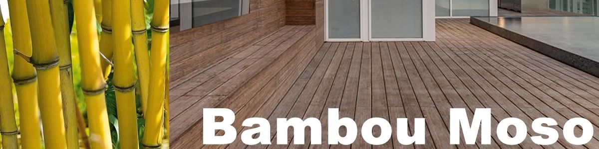 Lame de terrasse en bambou Moso Xtrême compressé — densité 950 kg/m³, résistance exceptionnelle, bilan carbone neutre