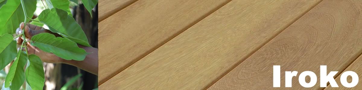 Lame de terrasse en iroko africain (Chlorophora excelsa) — classe 4, brun jaunâtre doré, alternative abordable au teck