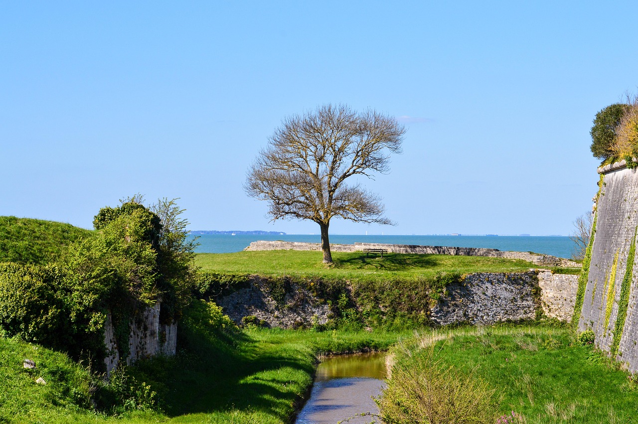 maison de pêcheur île d’Oléron parquet Floorz